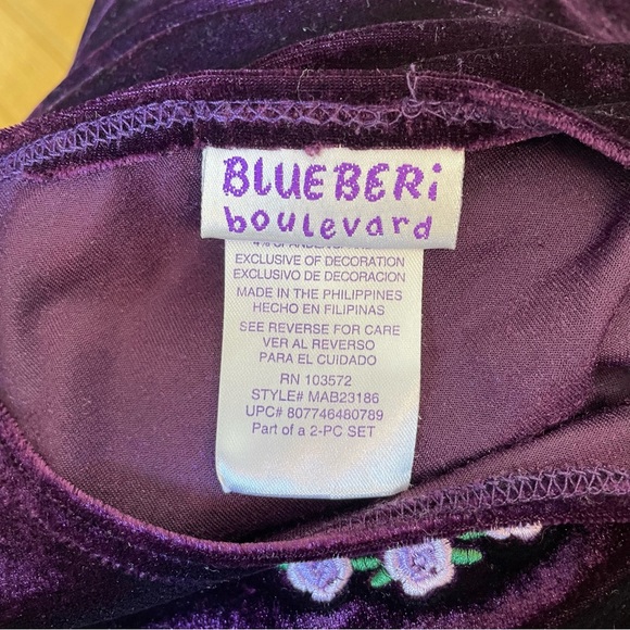 BLUEBERI BOULEVARD PURPLE VELVET EMBROIDERED FLOWER DRESS SIZE 6 HOLIDAY - Picture 8 of 8